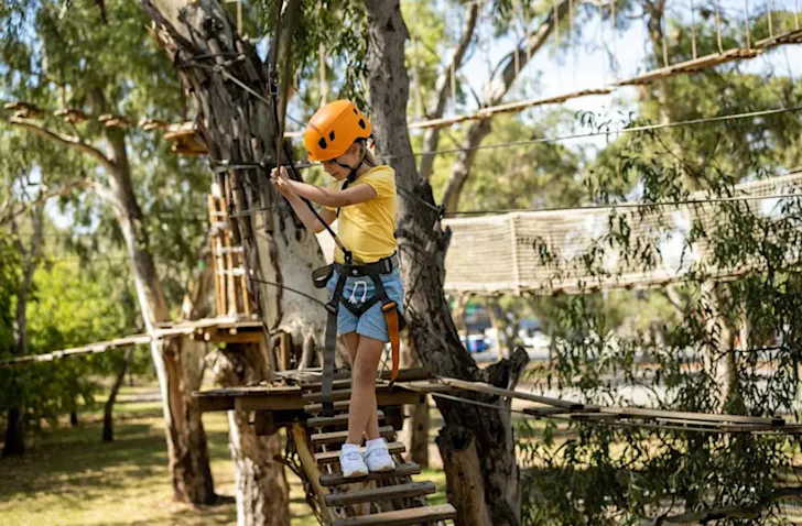 TreeClimb Adelaide