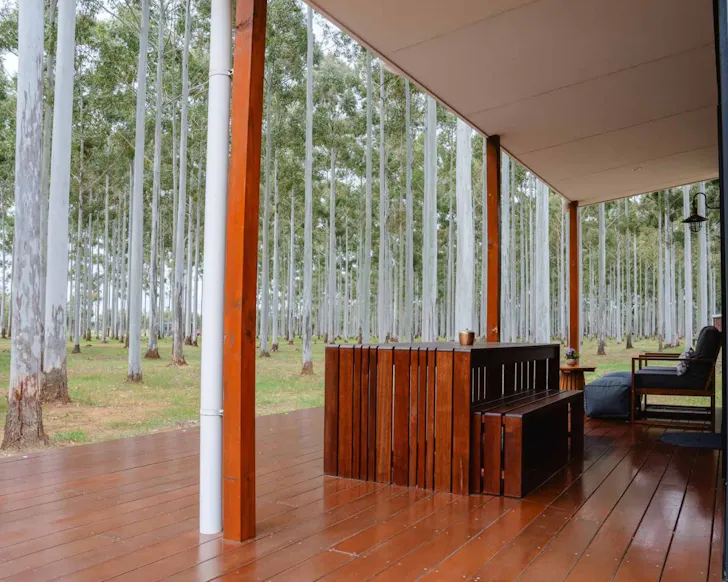 A view of the trees from one chalet at Tree Chalets best tiny home stays WA