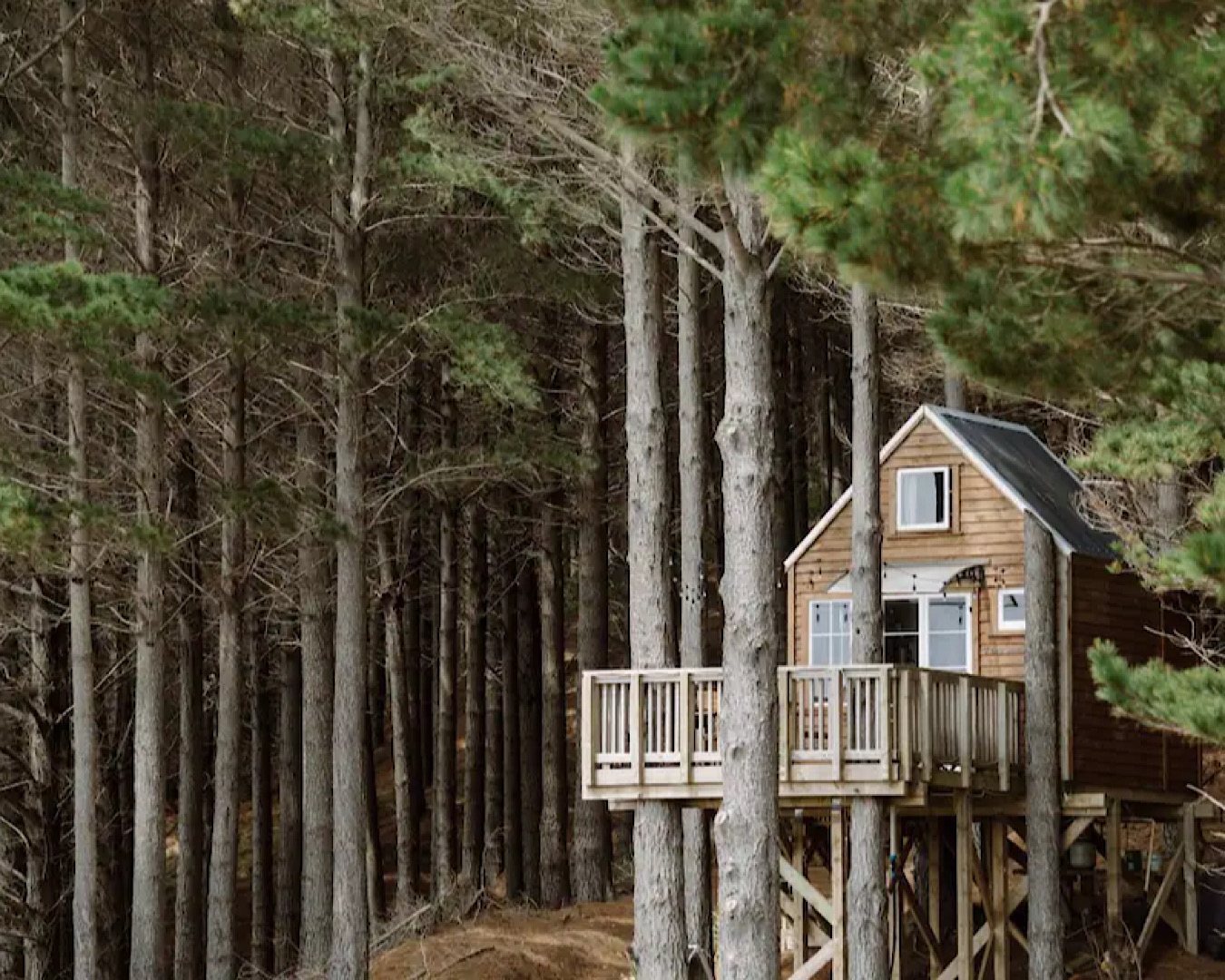 A picture-book worthy wooden treehouse is perched in a forest near Raglan, making for a gorgeous romantic getaway. 