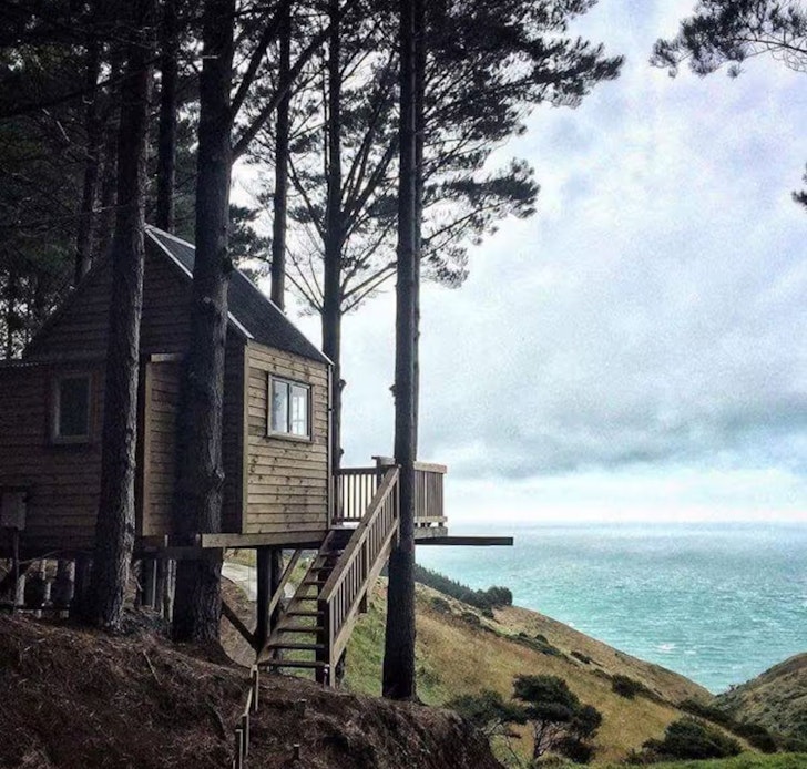 The Treehouse in the Woods overlooks the sea at this romantic stay in New Zealand