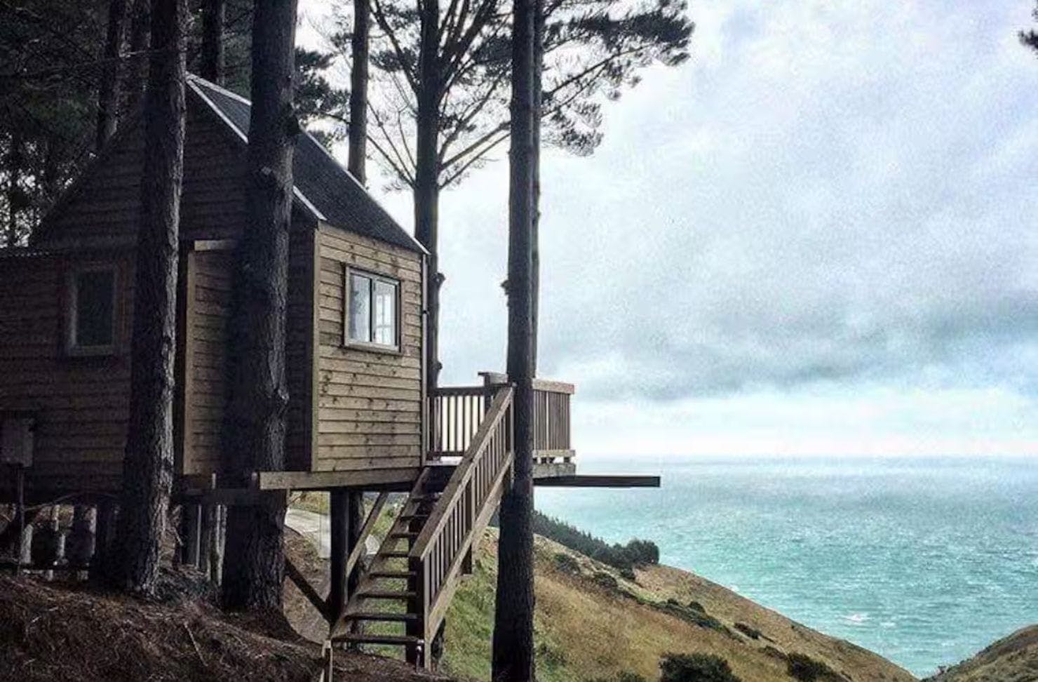 The Treehouse in the Woods romantic Airbnb overlooking the sea in New Zealand