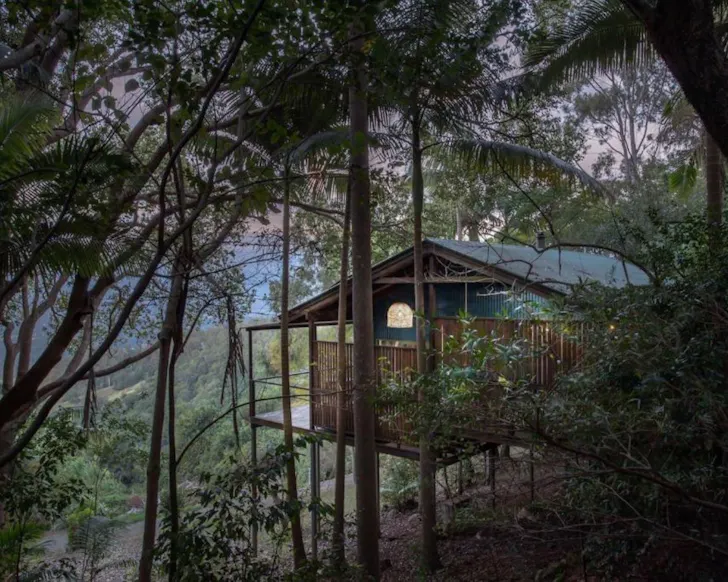 A view of Treetops Seaview among the trees, one of the best accommodatio options in Maleny