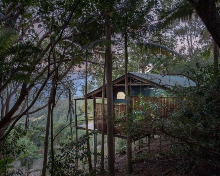 A view of Treetops Seaview among the trees, one of the best accommodatio options in Maleny