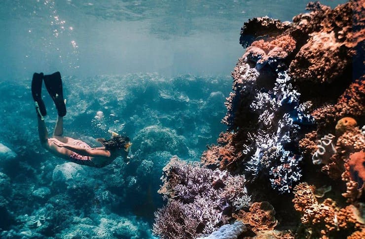 A woman dives beneath the waves with vibrant coral gardens.