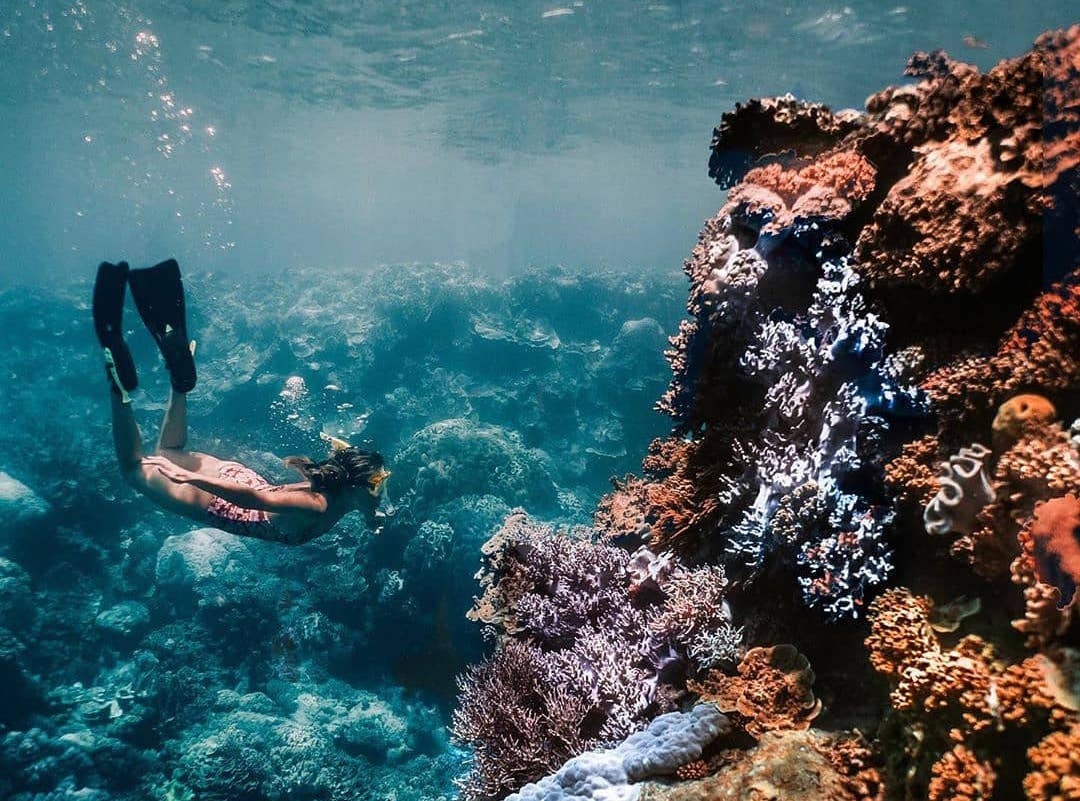 A woman dives beneath the waves with vibrant coral gardens.