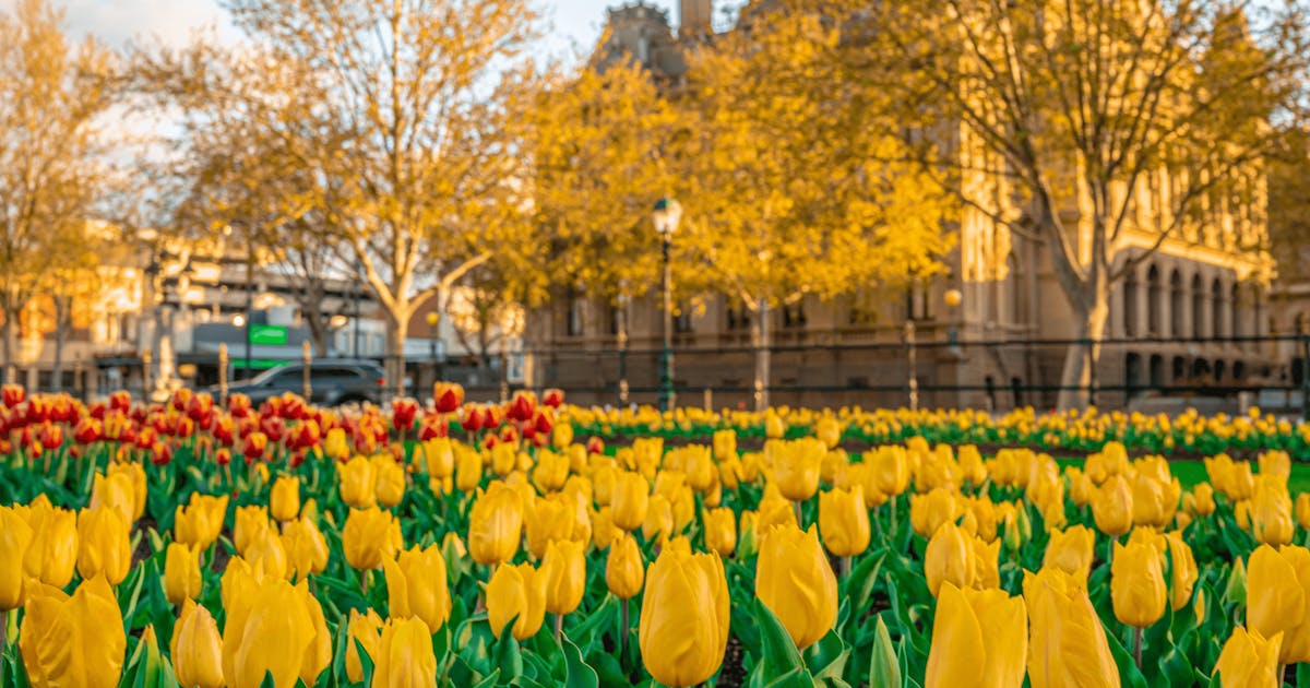 Bendigo Bloom Festival 2021 URBAN LIST MELBOURNE