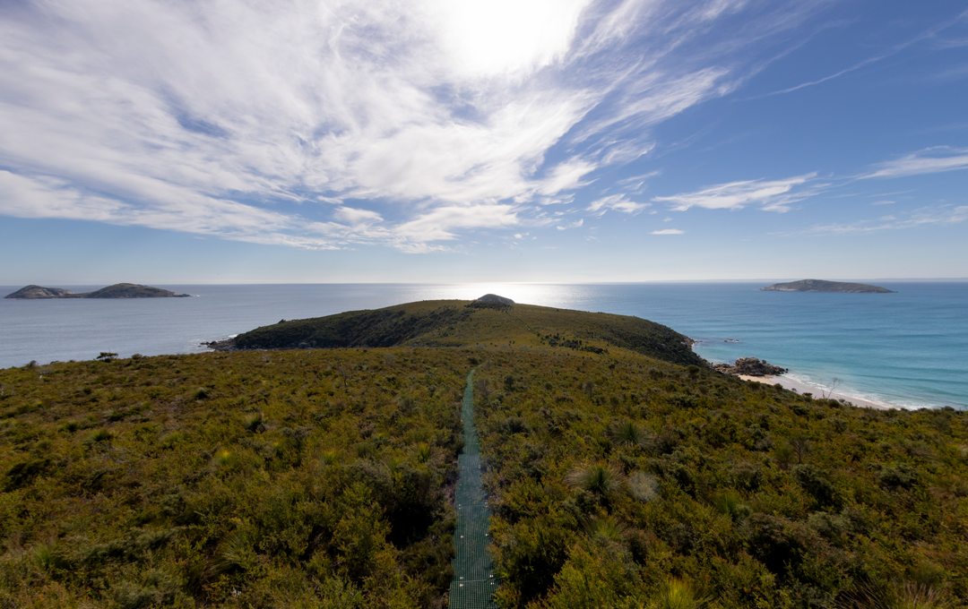 A large trail in the middle of a mountain one of the best walks in Victoria. 