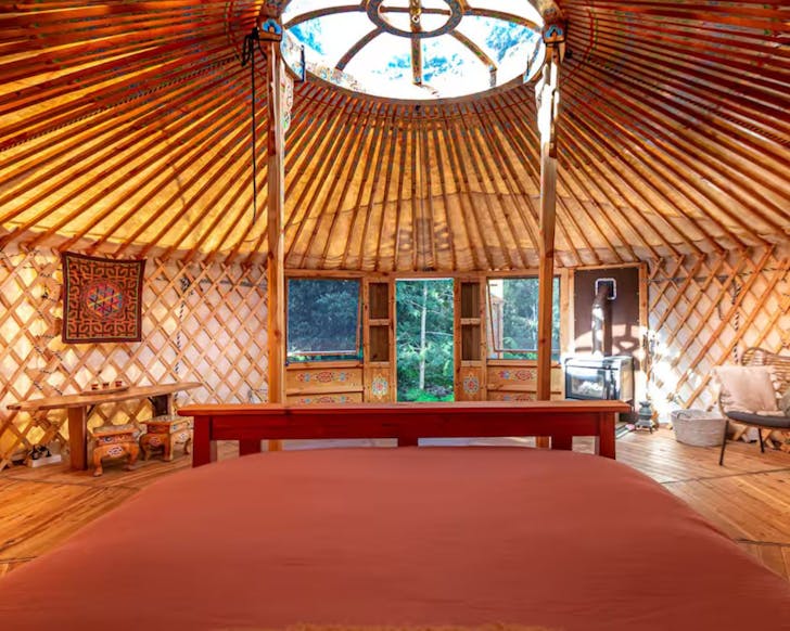 The inside of the yurt pet friendly Gold Coast Airbnb looking through the skylight