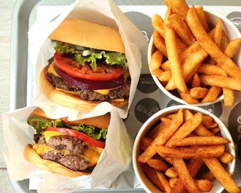 burger project