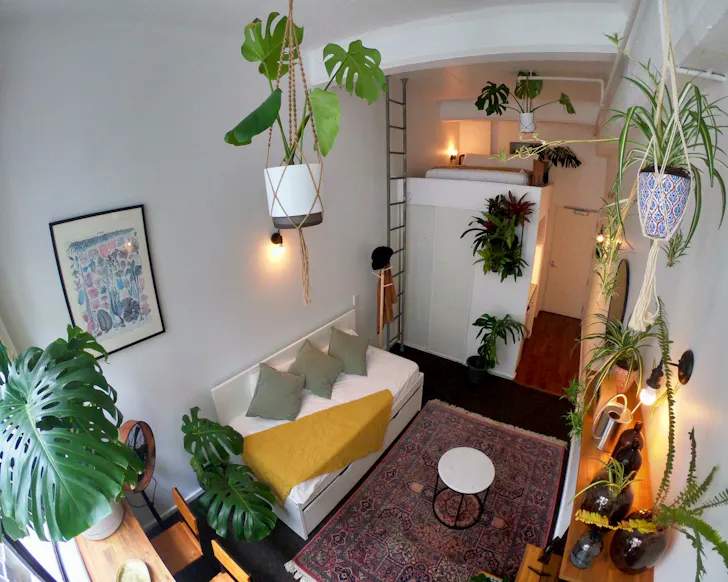 The cosy plant-filled interior of Urban Jungle Apartment one of the best Auckland Airbnbs