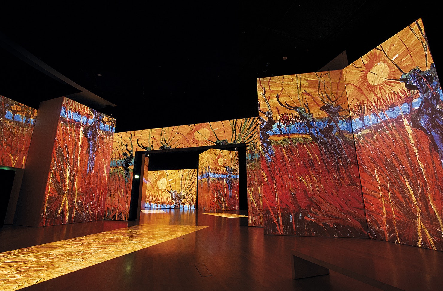 The Red Vineyard is projected onto a wall.