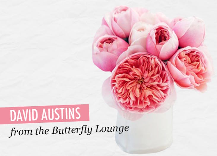 Valentine's Day Gift Guide URBAN LIST BRISBANE