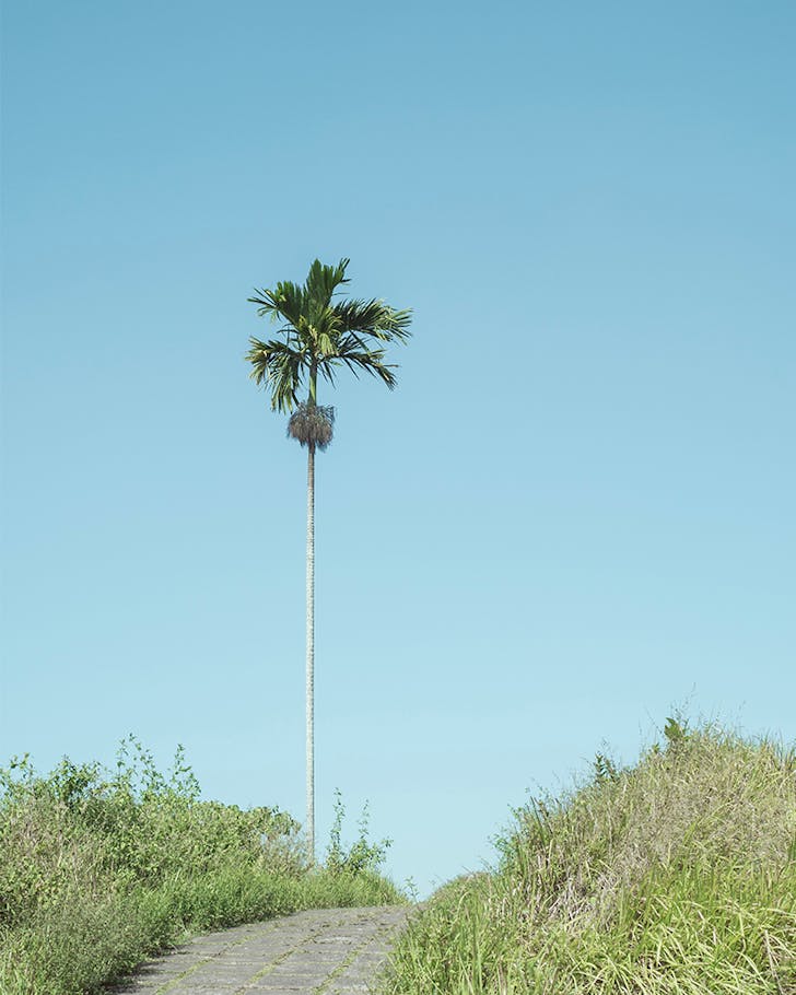 Bali walks and hikes