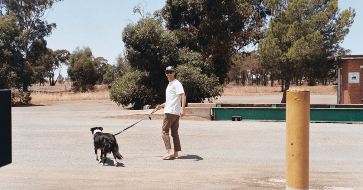 The Best DogFriendly Camping Spots In Victoria URBAN LIST MELBOURNE