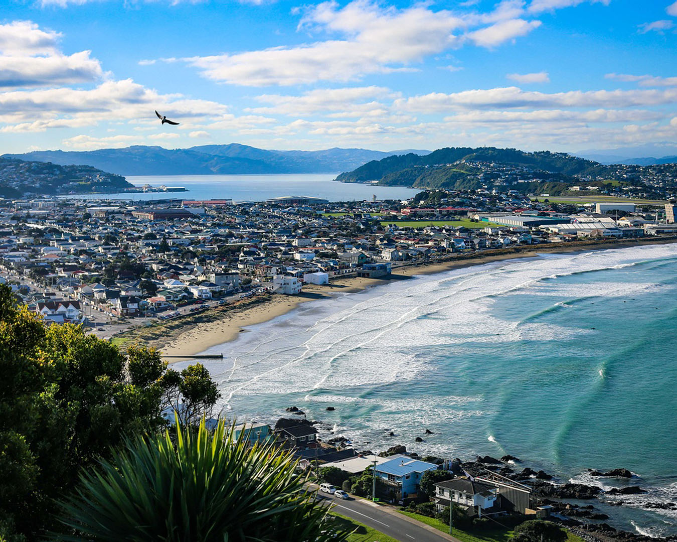 A view of Lyall Bay beach in Wellington.