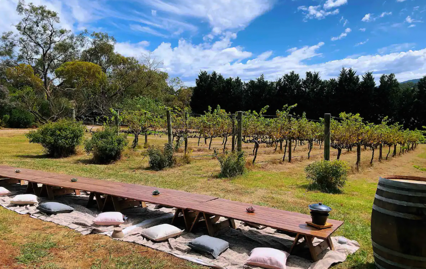 A large vineyard with a table set up at one of the best pet-friendly airbnb in Victoria.