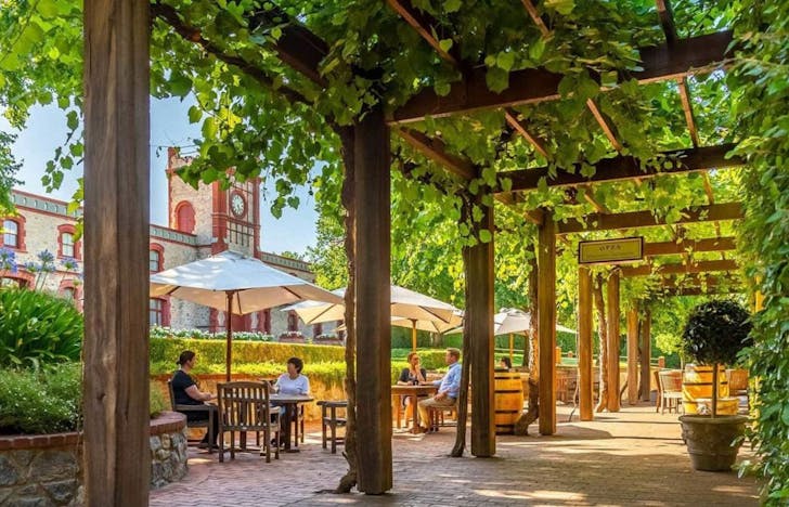 Yalumba: One of the Best wineries in South Australia