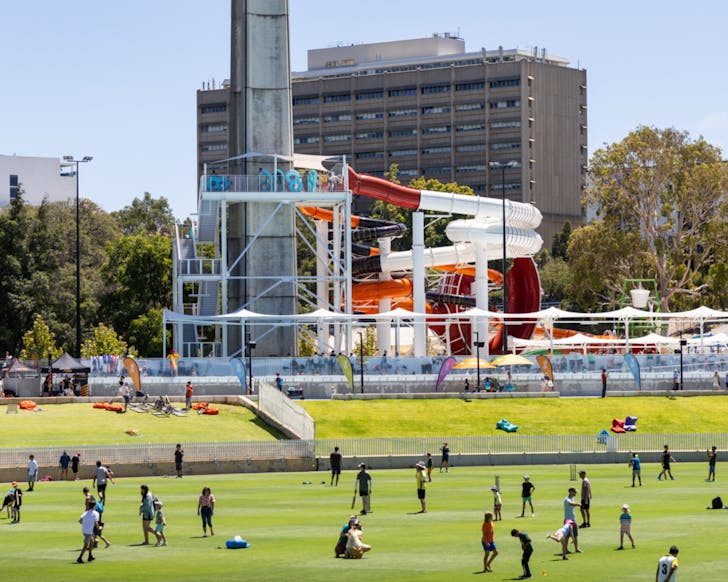 cricket grounds with people on them 
