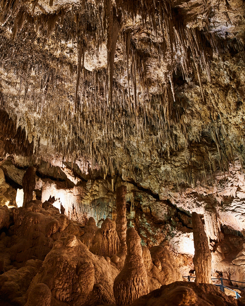 WA Best Caves Ngilgi Cave