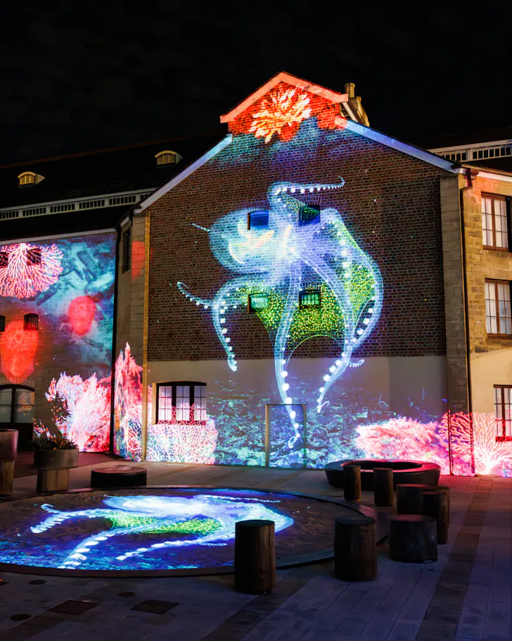 Bright projector of octopus on building