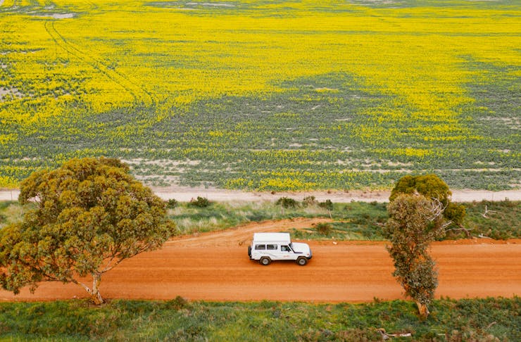 A birds eye view of a car driving down a dirt track surrounded by wildflowers