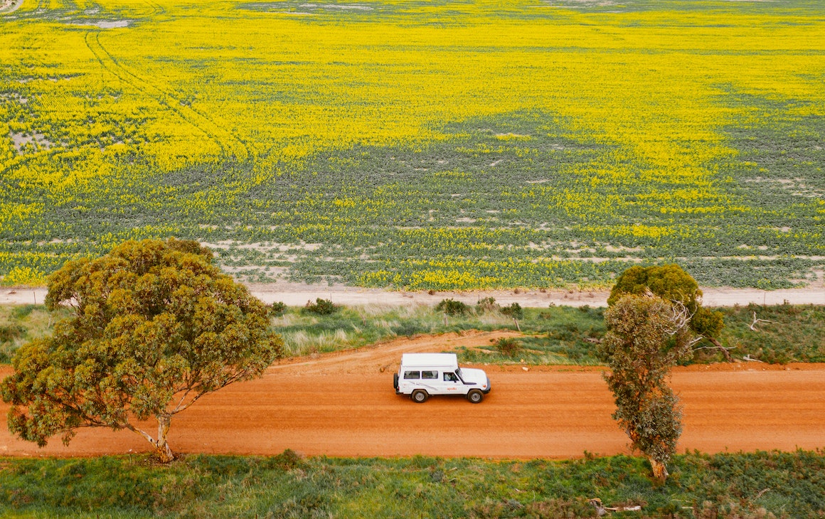 A birds eye view of a car driving down a dirt track surrounded by wildflowers