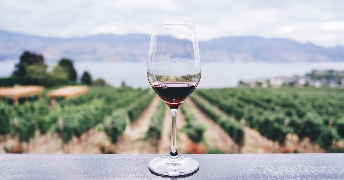 Gold Coast Winery Tours You Have To Do Urban List Gold Coast