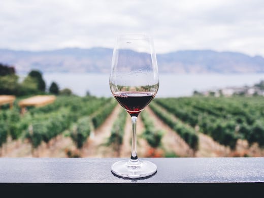 Gold Coast Winery Tours You Have To Do Urban List Gold Coast