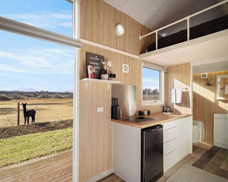 Tiny house with alpaca