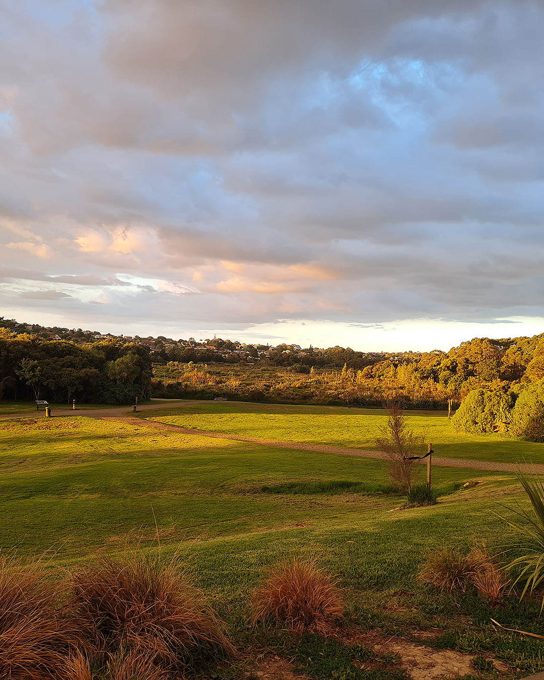 A wide green expanse is seen from the side of the park, one of the best parks in Auckland.