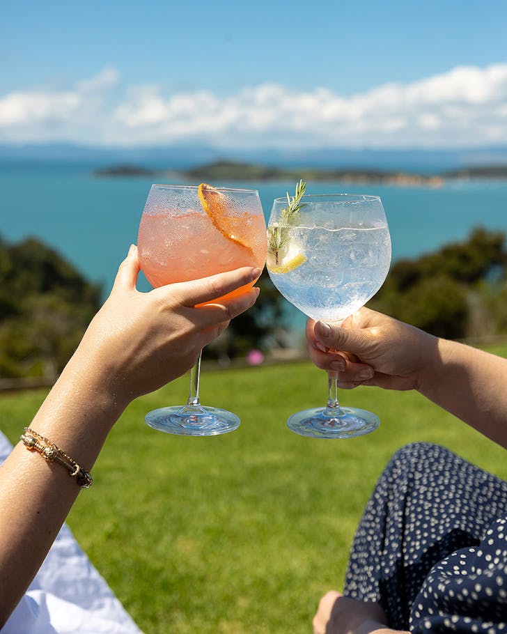 Two people clink their glasses while enjoying the view at Waiheke Distilling Co.