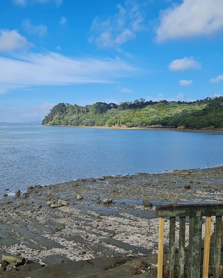 A stunning foreshore is seen under a blue sky.