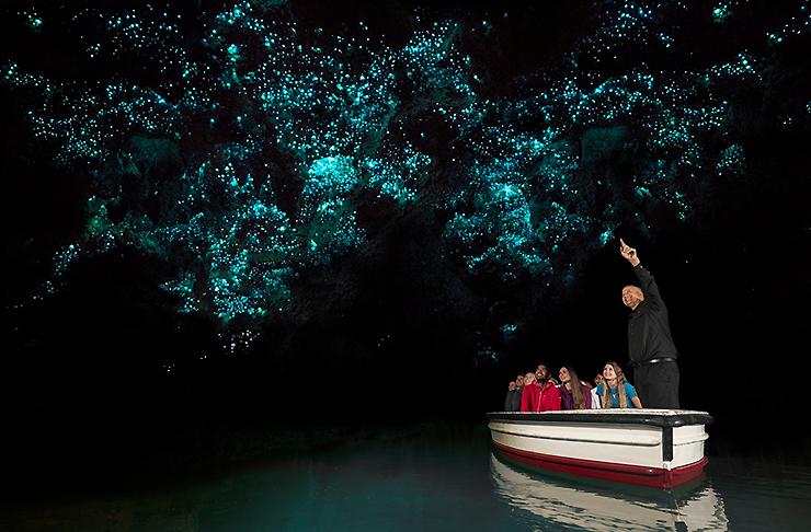 Waitomo Caves