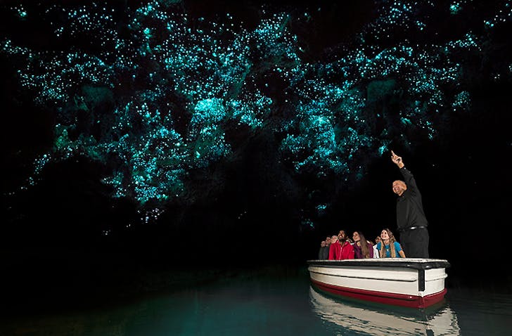 Waitomo Caves