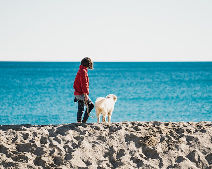 Person in a red jacket walks a dog along a beach.