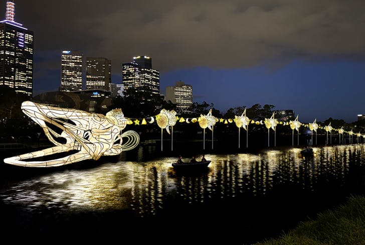 A huge eel lantern snakes along the Yarra River.