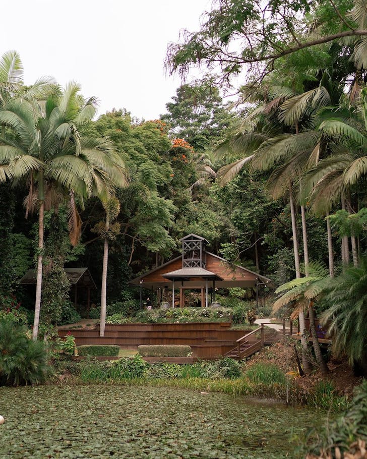 rainforest gardens