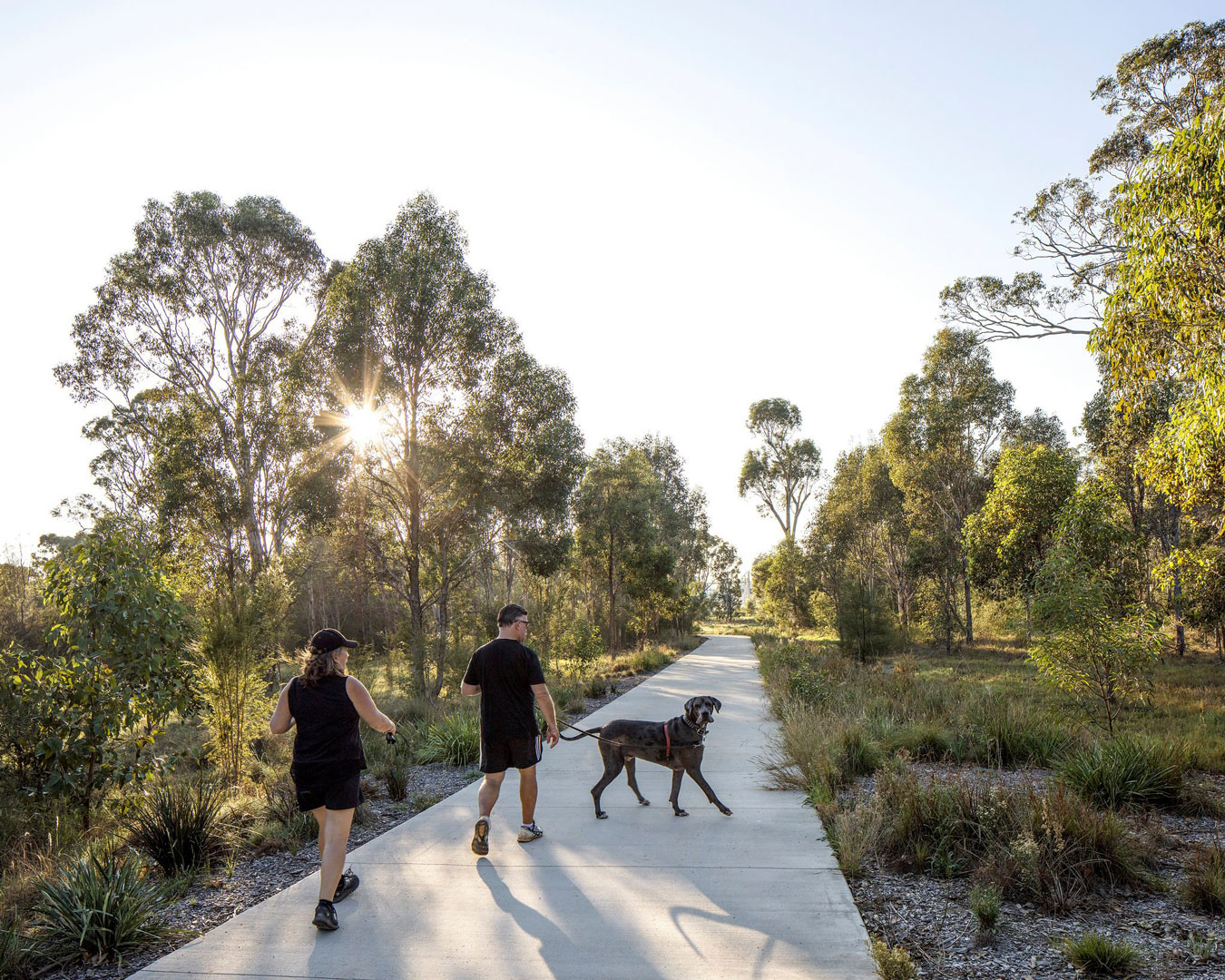 People and dog in Western Sydney Parklands