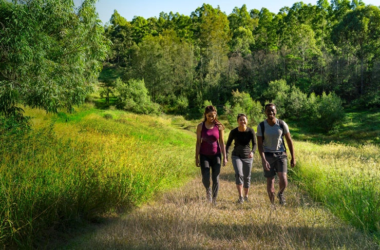 Three hikers in Western Sydney Parklands. 