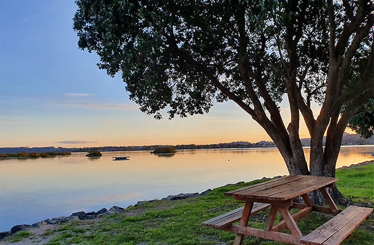 Whangateau Holiday Park, best camping in Auckland