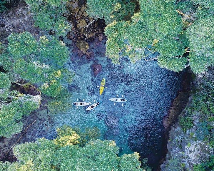 The Coromandel's secret gem aka Whenuakura Wildlife Sanctuary. One of the best things to do in the coromandel.