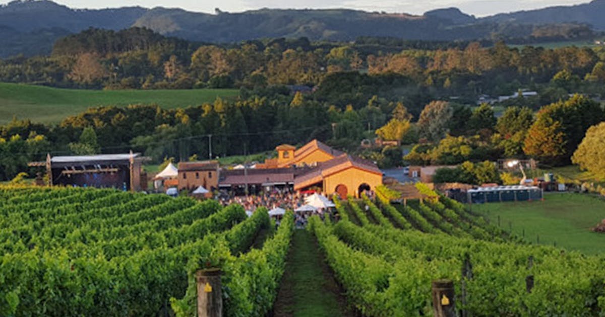 Where To Go Wine Tasting In And Around Auckland Urban List Nz