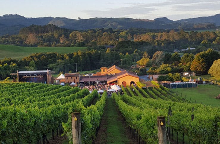 Where To Go Wine Tasting In And Around Auckland