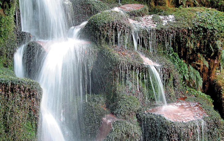 Whirinaki Forest Waterfall, New Zealand's Most Beautiful Waterfalls