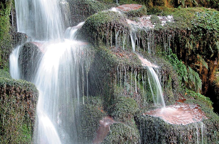 Whirinaki Forest Waterfall, New Zealand's Most Beautiful Waterfalls