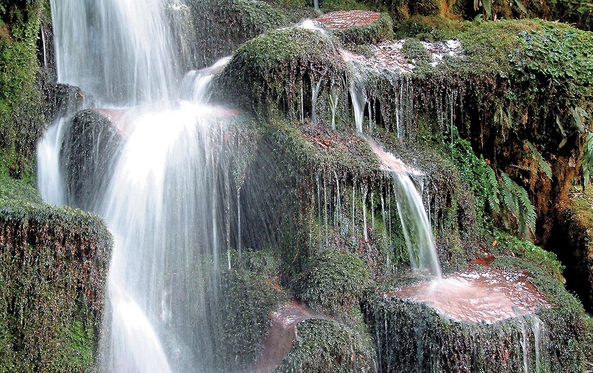 Whirinaki Forest Waterfall, New Zealand's Most Beautiful Waterfalls