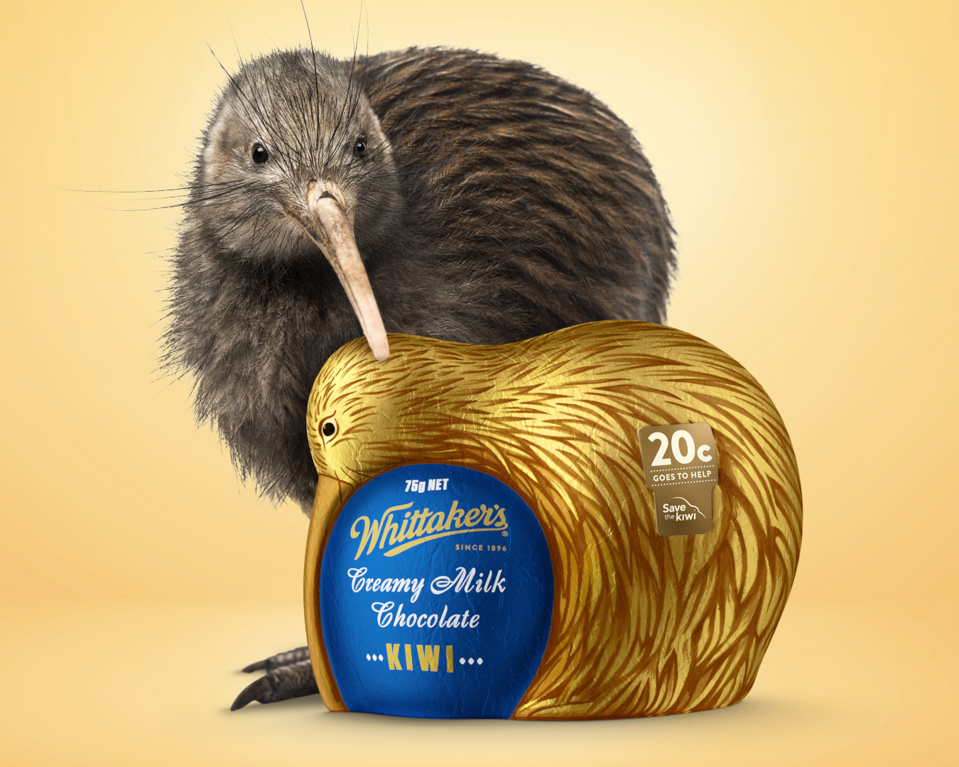 A real-life Kiwi stands behind a chocolate version, made especially for Easter by Whittaker's.