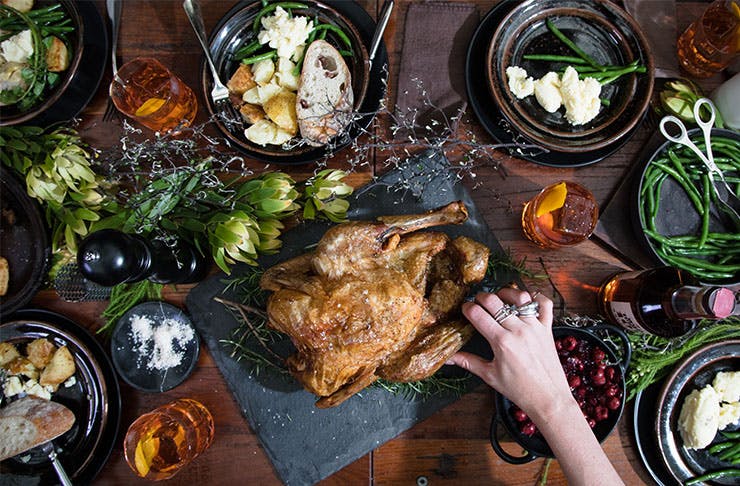 wild-turkey-brisbane