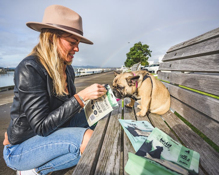 A pug sniffs a packet of Wild At Heart dog treats expectantly. 