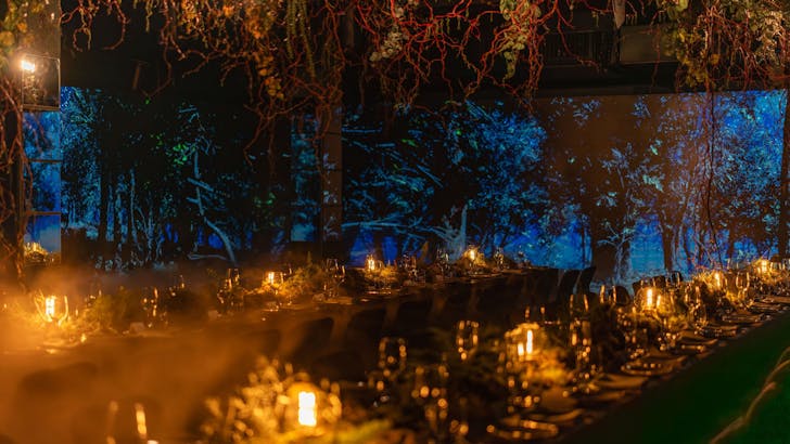 Table setting in darkness surrounded by lights.